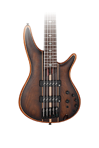 5 string Icon