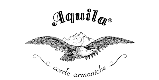 Aquila