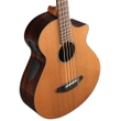 Breedlove Solo Jumbo Bass CE Acoustic-Electric Bass, Western Red Cedar, East Indian Rosewood, Gig Bag - Natural Gloss