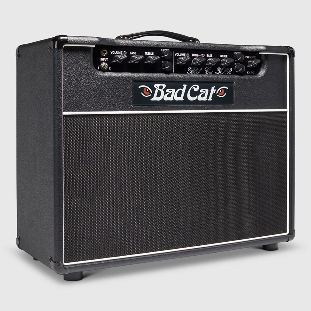 Bad Cat Amps Black Cat 30R Handwired 30-Watt 1x12 Guitar Amp Combo w/ Reverb