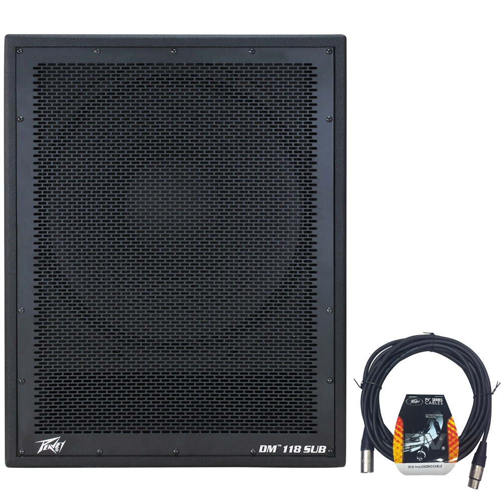 peavey dm 118