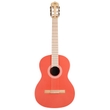 Cordoba Protege Series 02504 C1 Matiz Nylon Classical Acoustic Guitar w/ Gig Bag, Spruce Top, Coral