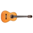 Cordoba 06524 C10 Parlor Nylon String Classical Acoustic Guitar, Spruce Top
