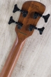 Spector Euro Bolt 4 Bass Guitar, Roasted Maple Fingerboard, Metallic Blue