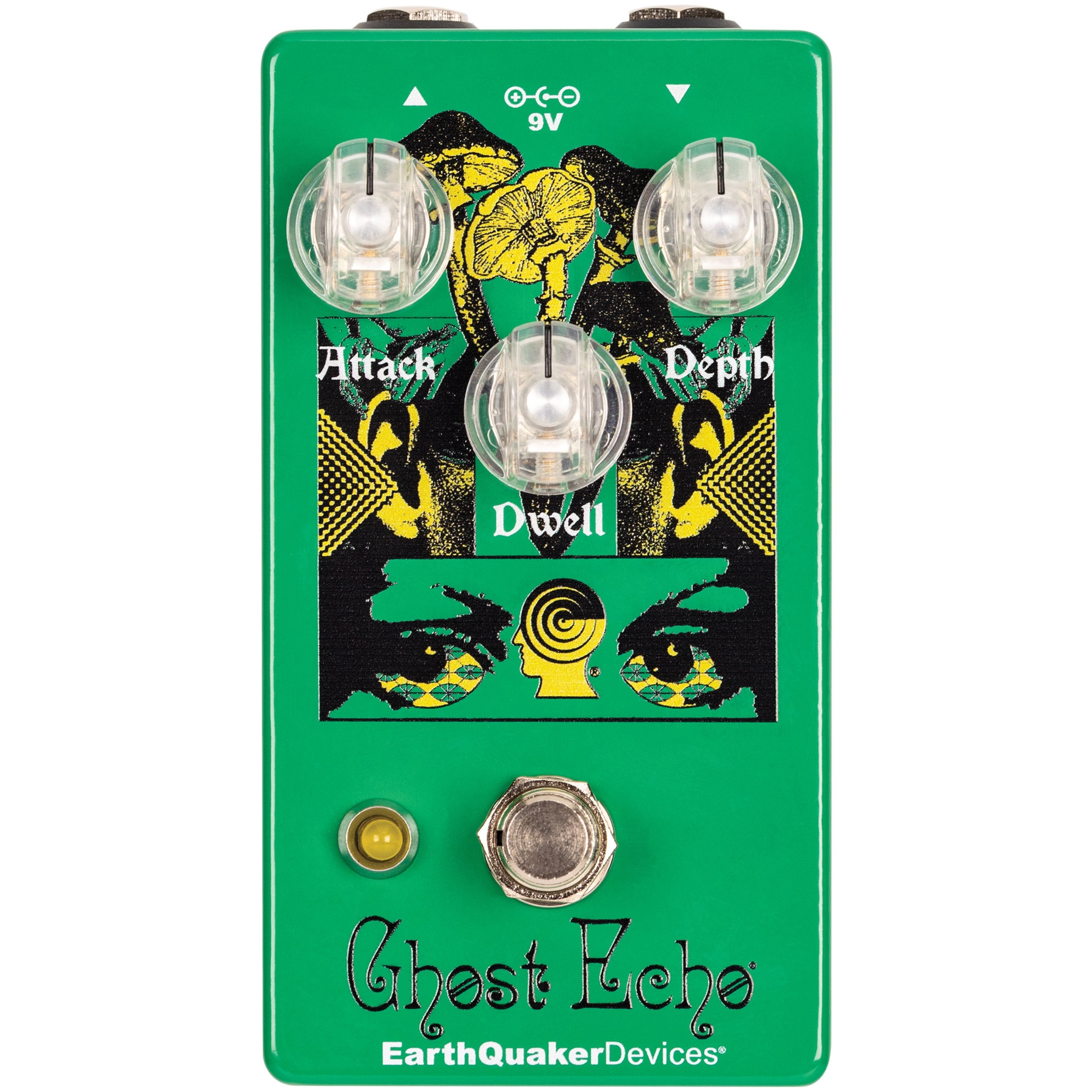 Medic beven Ambacht EarthQuaker Devices Ghost Echo Brain Dead Limited Edition Reverb Guitar  Effects Pedal