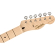Squier (Fender) Paranormal Cabronita Telecaster Thinline Guitar, Maple Fretboard, Gold Anodized Pickguard, 2-Color Sunburst