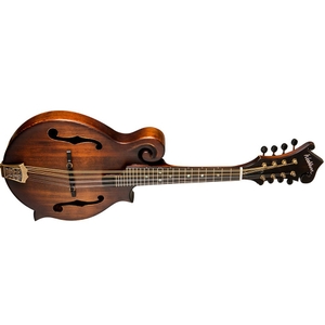 washburn m108swk florentine mandolin with case