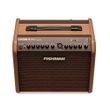 Fishman PRO-LBC-500 Loudbox Mini CHARGE Acoustic Guitar/Vocal Amplifier