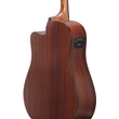 Ibanez AAD50CE Advanced Acoustic Guitar, Purpleheart Fretboard, Transparent Charcoal Burst