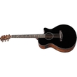 Ibanez AEG550 Acoustic Electric Guitar, Bocote Back & Sides w/ Spruce Top, Black