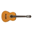 Ibanez GA3 Classical Nylon String Acoustic Guitar, Spruce Top, Amber High Gloss