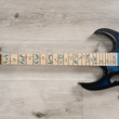 Ibanez Premium Steve Vai JEM77P Signature JEM Guitar, Blue Floral Pattern