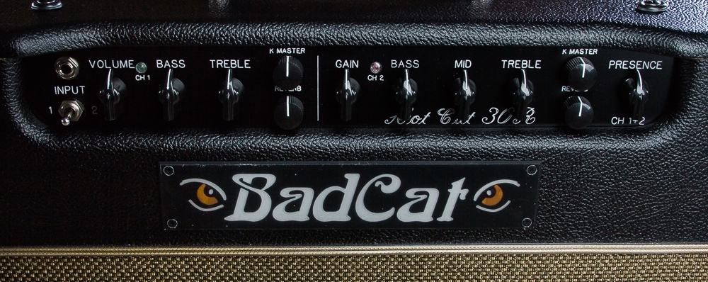 Bad Cat Amps Legacy Line Hot Cat 30 Reverb 1x12 Guitar Combo Amplifier