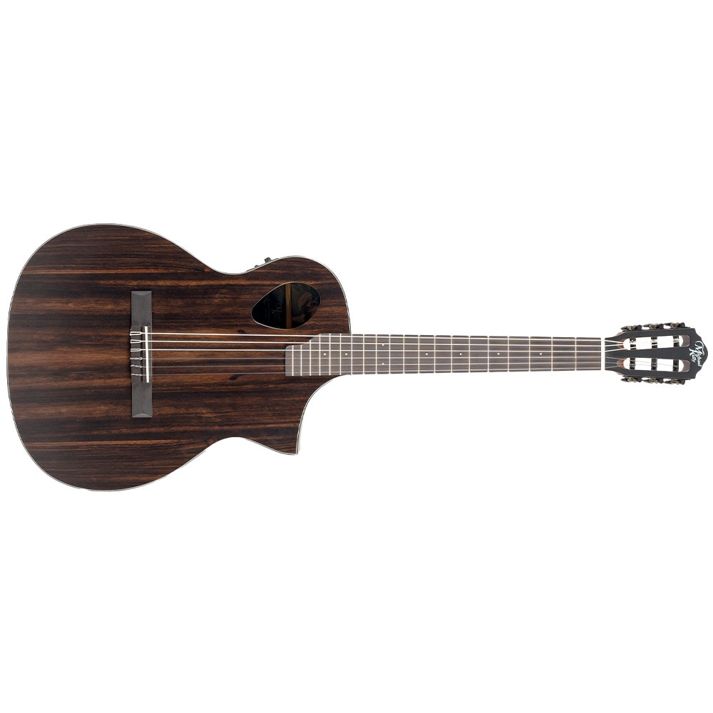 Acoustic-Electric - Guitar - Instruments