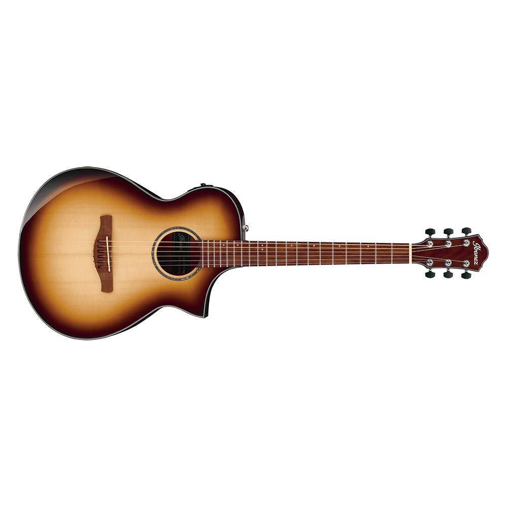 Ibanez aewc300 store