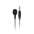 Rode Lavalier GO Professional Omnidirectional Condenser Clip-On Wearable Microphone