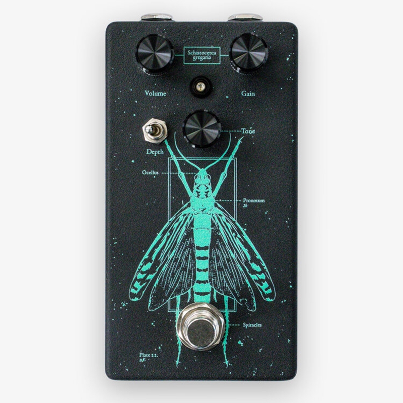Ground Control Audio Locust High-Gain Distortion Guitar Effects Pedal