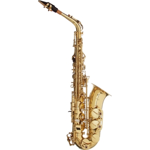 stagg ws as215 eb alto saxophone w case includes mouthpiece w reed ligature and cap