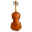 Stentor 1560E Stentor Conservatoire II Violin, 1/2 Scale