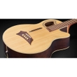Warwick RockBass Alien Deluxe 4-String Acoustic Electric Bass, Natural Transparent Satin