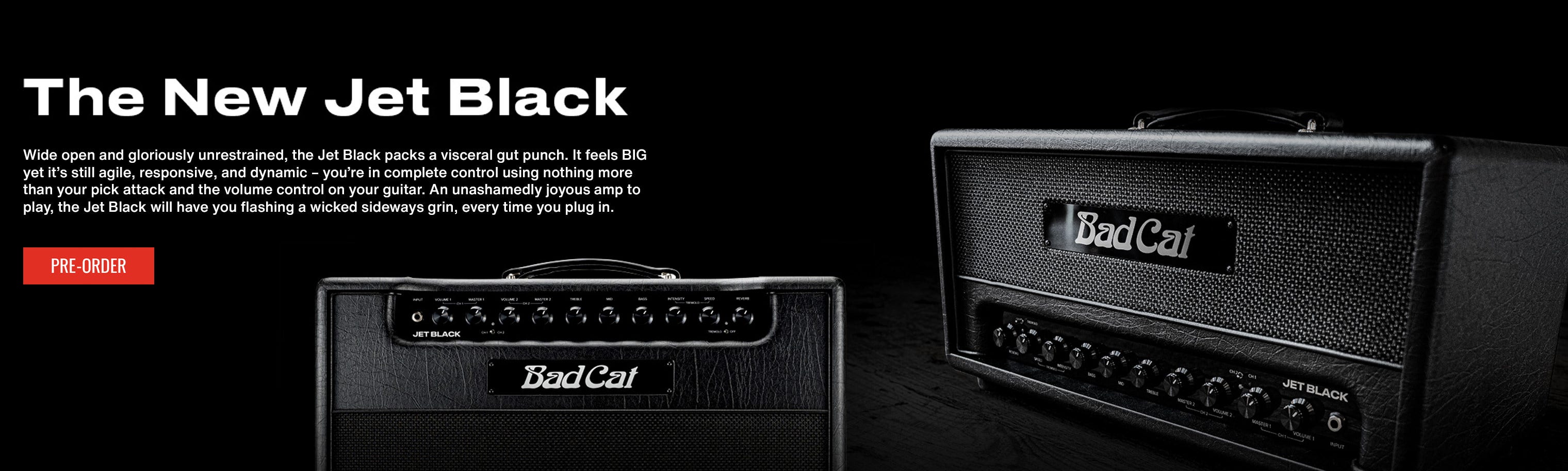 The New Jet Black Amp Head, and Combo Amp from BadCat Amps. Pre-Order Now