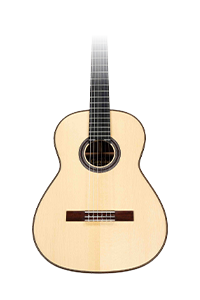 Acoustic Guitars