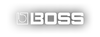 boss logo